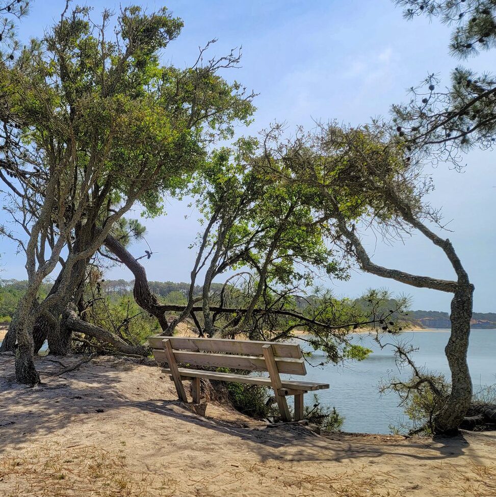 Le rôle des émotions