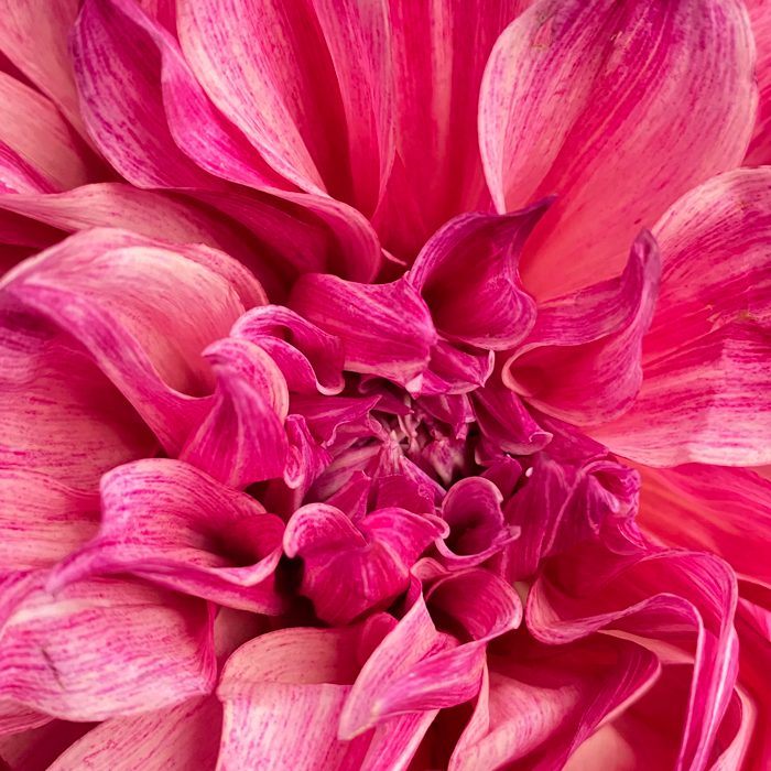 Rédaction empathique de discours puissant d'émotions.